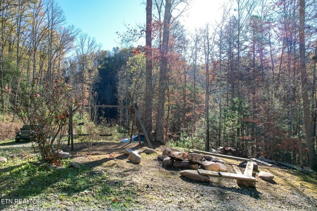 1107 Momma Bear Way, Sevierville, TN 37876 - photo 45
