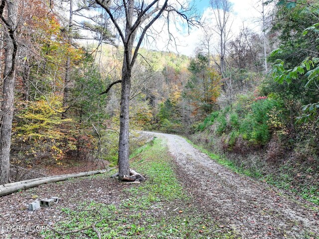 1107 Momma Bear Way, Sevierville, TN 37876 - photo 46