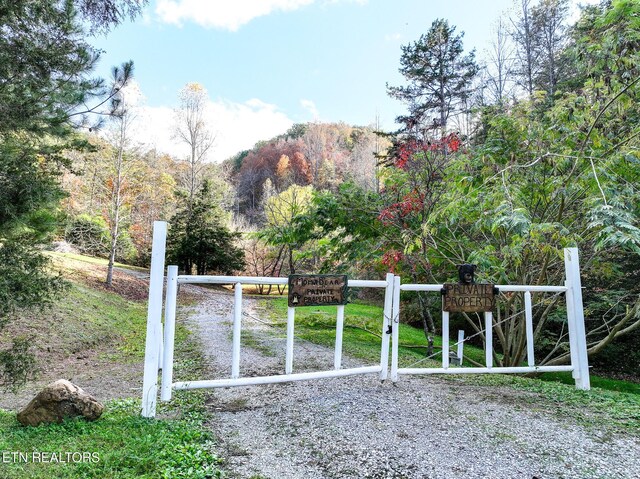 1107 Momma Bear Way, Sevierville, TN 37876 - photo 48
