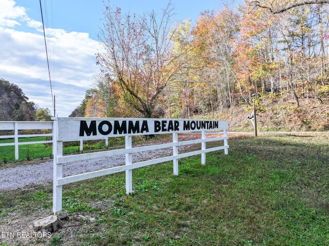 1107 Momma Bear Way, Sevierville, TN 37876 - photo 47