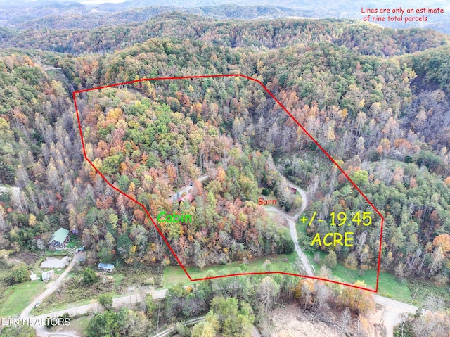 1107 Momma Bear Way, Sevierville, TN 37876 - photo 52