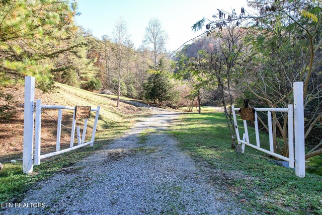 1107 Momma Bear Way, Sevierville, TN 37876 - photo 49