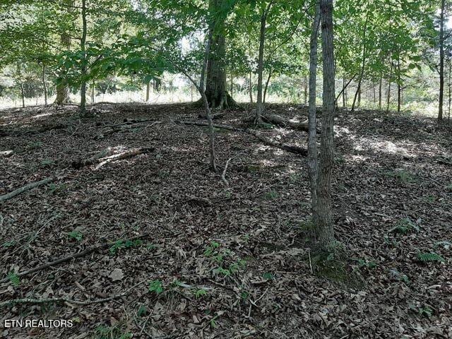 Deer Pond Cir, Lafollette TN, 37766 land for sale