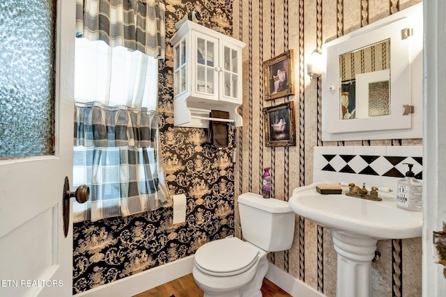 bathroom with hardwood / wood-style floors and toilet