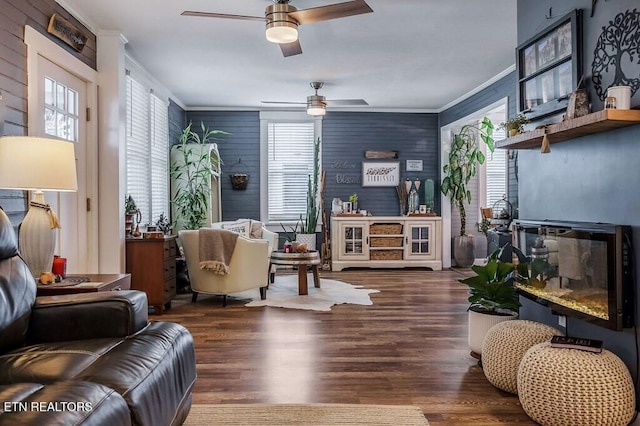 living room featuring dark hardwood / wood-style flooring, crown molding, wooden walls, and ceiling fan