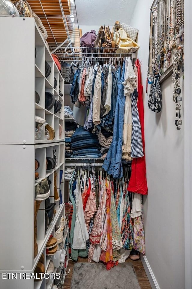 spacious closet with wood-type flooring