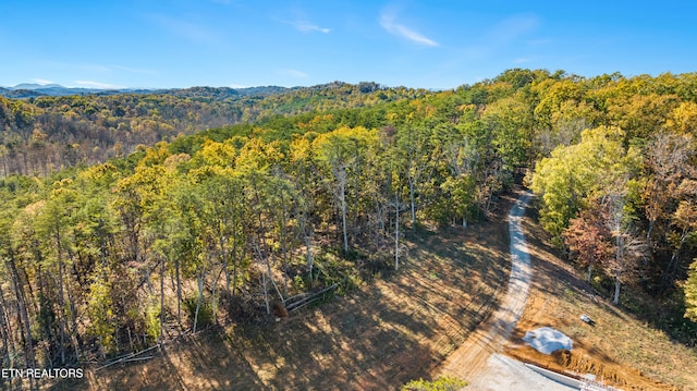 3419 Boone Docks Way, Maryville, TN 37803