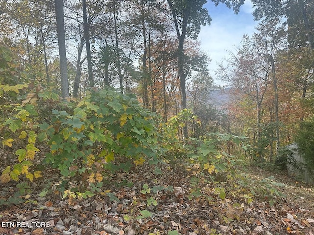 LOT28 Della Ln, Rocky Top TN, 37769 land for sale