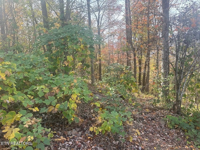 Listing photo 2 for LOT28 Della Ln, Rocky Top TN 37769