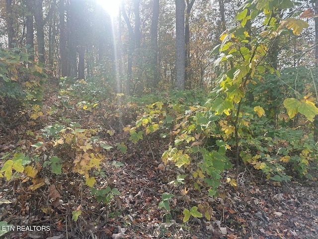 Listing photo 3 for LOT28 Della Ln, Rocky Top TN 37769