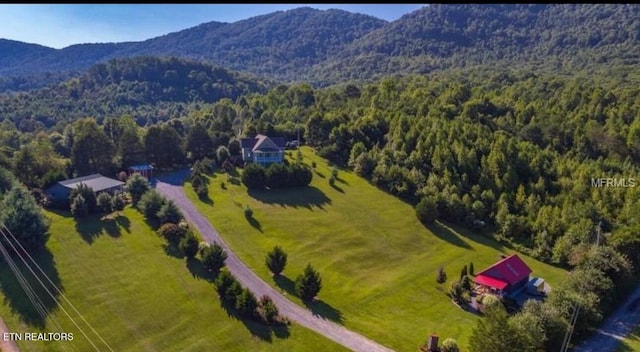 217 Brantley Acres Rd, Speedwell, TN 37870 - photo 2