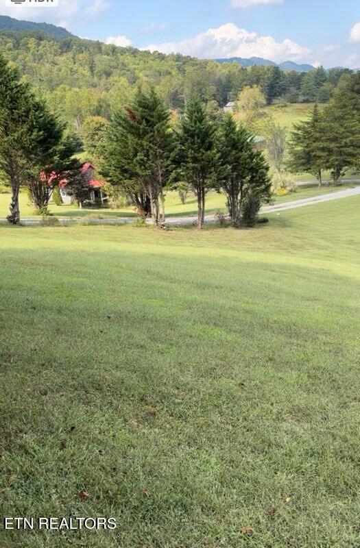 217 Brantley Acres Rd, Speedwell, TN 37870 - photo 25