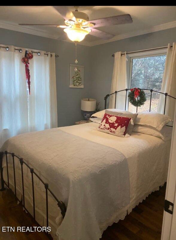 217 Brantley Acres Rd, Speedwell, TN 37870 - photo 34