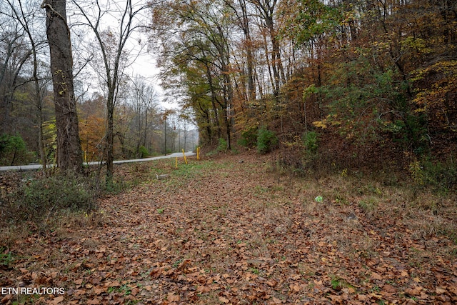 Listing photo 2 for 0 Brown Gap Rd, Knoxville TN 37918