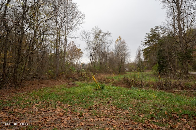 Listing photo 3 for 0 Brown Gap Rd, Knoxville TN 37918