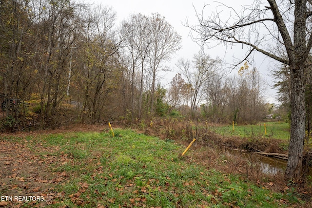 0 Brown Gap Rd, Knoxville, TN 37918 - photo 5
