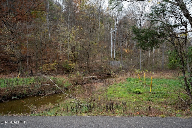 0 Brown Gap Rd, Knoxville, TN 37918 - photo 6