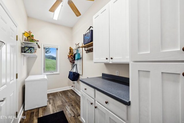 laundry room featuring ceiling fan and dark hardwood / wood-style flooring