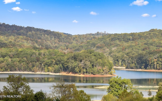 159 Garfield Ln, Sharps Chapel, TN 37866 - water view with a forest