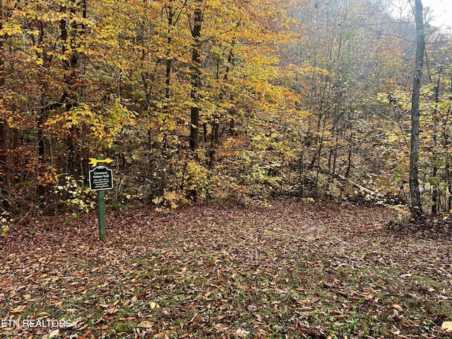 LOT675 Chimney Rock Rd, New Tazewell, TN 37825 - photo 38