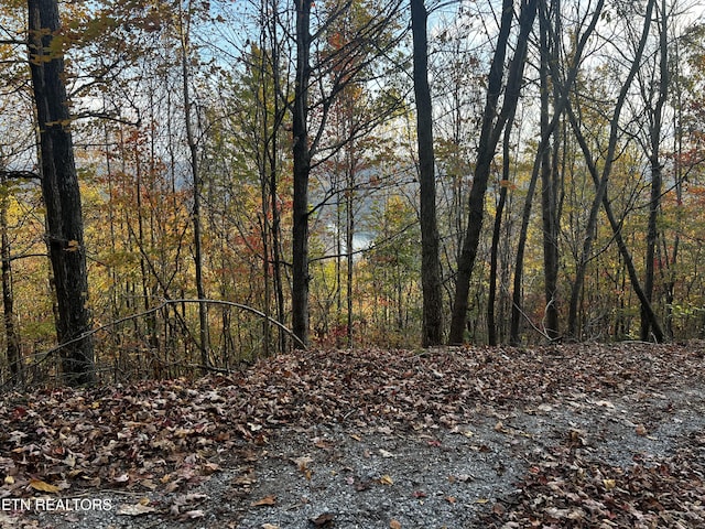 LOT675 Chimney Rock Rd, New Tazewell, TN 37825 - photo 25