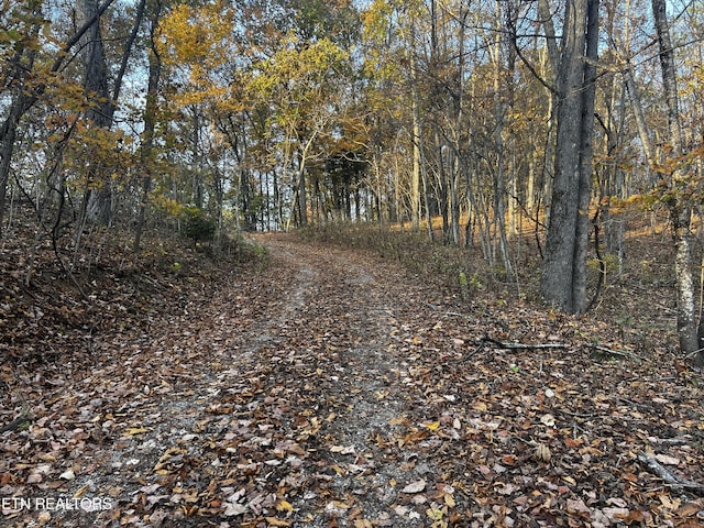 LOT675 Chimney Rock Rd, New Tazewell, TN 37825 - photo 27