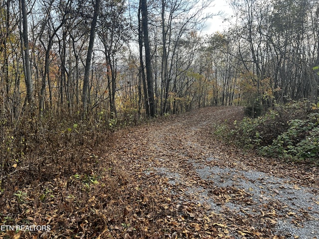 LOT675 Chimney Rock Rd, New Tazewell, TN 37825 - photo 28