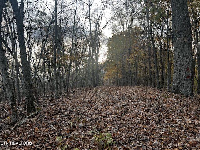 LOT675 Chimney Rock Rd, New Tazewell, TN 37825 - photo 4