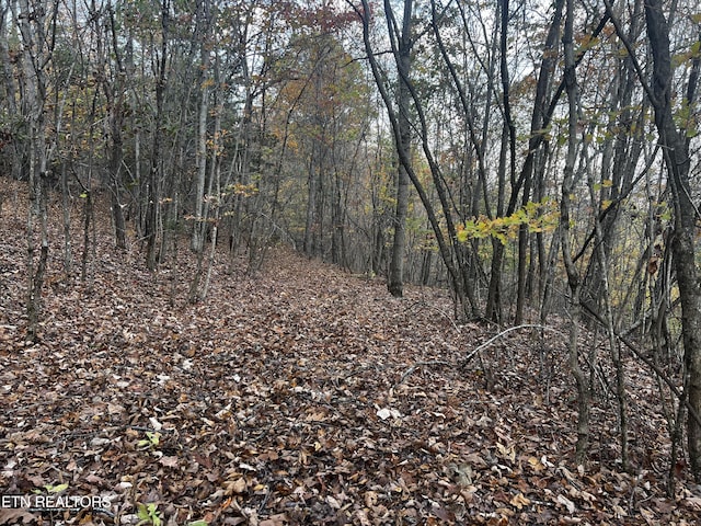 LOT675 Chimney Rock Rd, New Tazewell, TN 37825 - photo 5