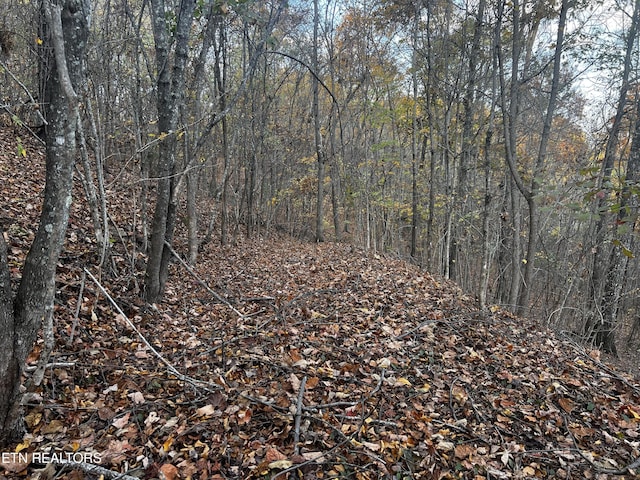 LOT675 Chimney Rock Rd, New Tazewell, TN 37825 - photo 12