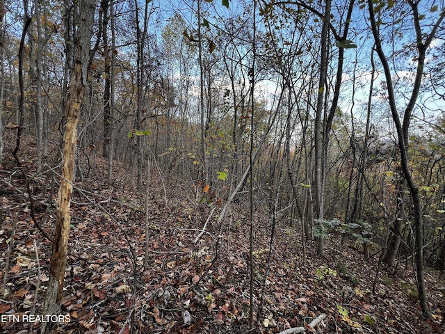 LOT675 Chimney Rock Rd, New Tazewell, TN 37825 - photo 14