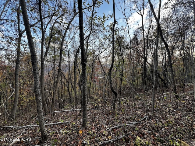 LOT675 Chimney Rock Rd, New Tazewell, TN 37825 - photo 17