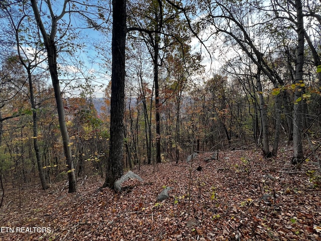 Listing photo 2 for LOT675 Chimney Rock Rd, New Tazewell TN 37825