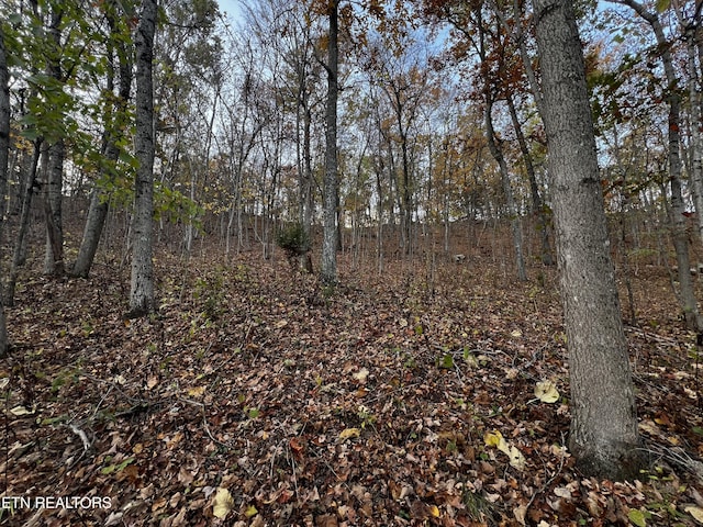 LOT675 Chimney Rock Rd, New Tazewell, TN 37825 - photo 10