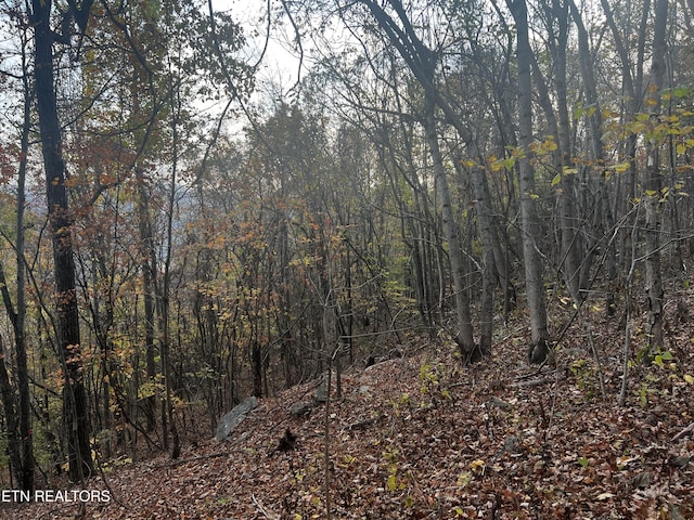 LOT675 Chimney Rock Rd, New Tazewell, TN 37825 - photo 9