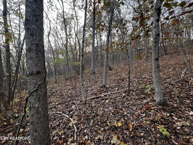 LOT675 Chimney Rock Rd, New Tazewell, TN 37825 - photo 8