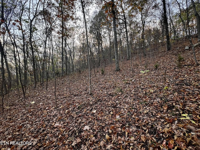 LOT675 Chimney Rock Rd, New Tazewell, TN 37825 - photo 7