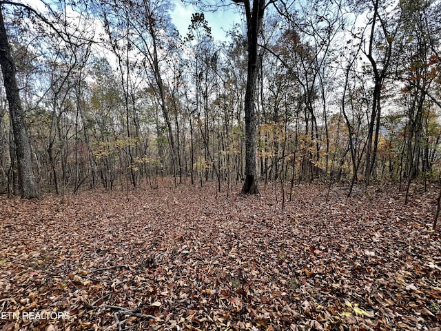 LOT675 Chimney Rock Rd, New Tazewell, TN 37825 - photo 6