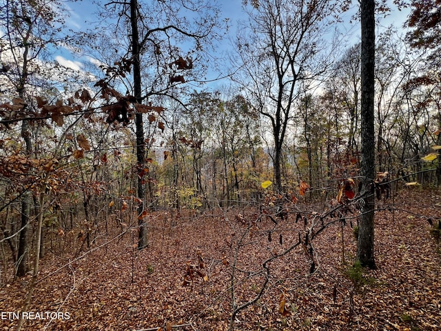 LOT675 Chimney Rock Rd, New Tazewell TN, 37825 land for sale