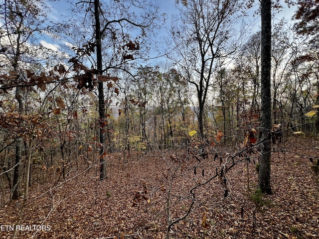 LOT675 Chimney Rock Rd, New Tazewell, TN 37825 - photo 1