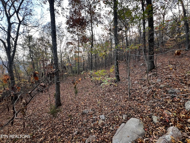 Listing photo 3 for LOT675 Chimney Rock Rd, New Tazewell TN 37825