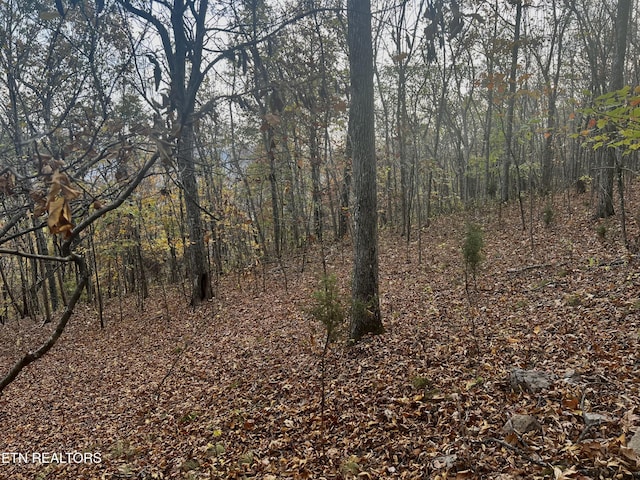 LOT675 Chimney Rock Rd, New Tazewell, TN 37825 - photo 15