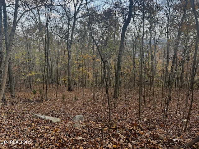 LOT675 Chimney Rock Rd, New Tazewell, TN 37825 - photo 18
