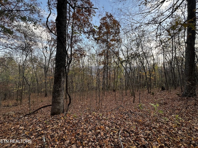 LOT675 Chimney Rock Rd, New Tazewell, TN 37825 - photo 19