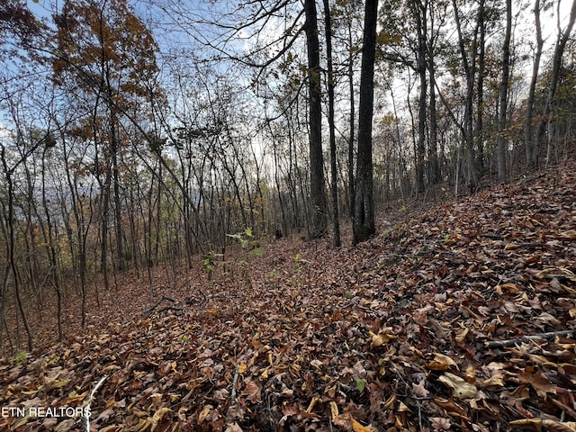 LOT675 Chimney Rock Rd, New Tazewell, TN 37825 - photo 20