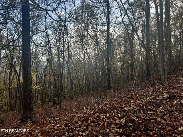 LOT675 Chimney Rock Rd, New Tazewell, TN 37825 - photo 21