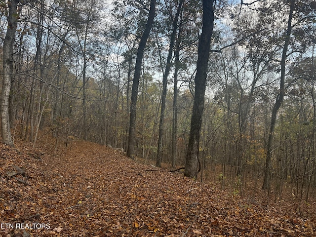 LOT675 Chimney Rock Rd, New Tazewell, TN 37825 - photo 29