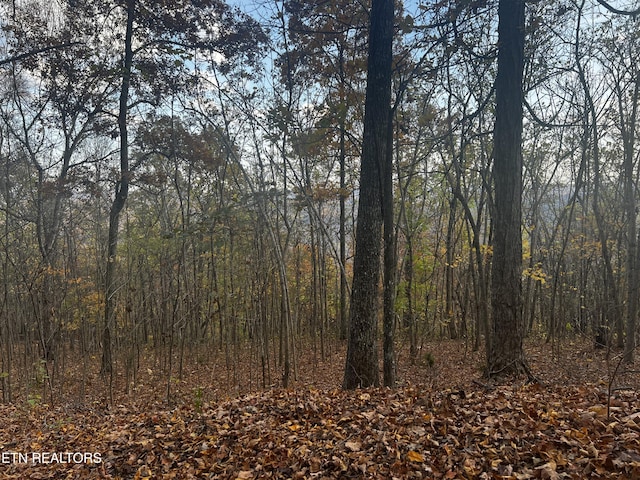 LOT675 Chimney Rock Rd, New Tazewell, TN 37825 - photo 30