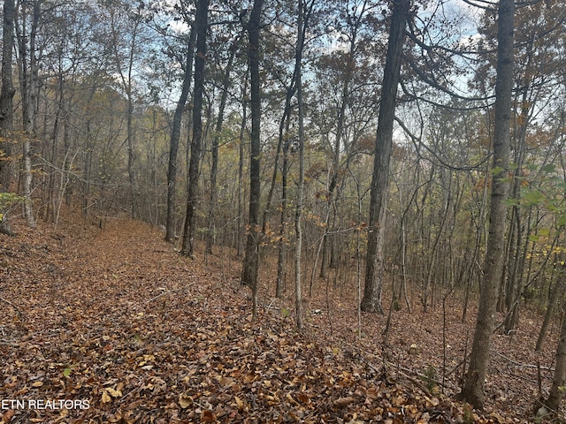 LOT675 Chimney Rock Rd, New Tazewell, TN 37825 - photo 32