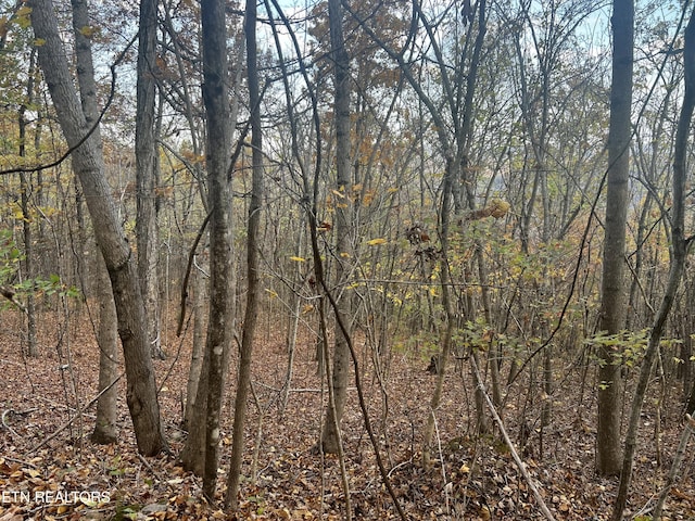 LOT675 Chimney Rock Rd, New Tazewell, TN 37825 - photo 33